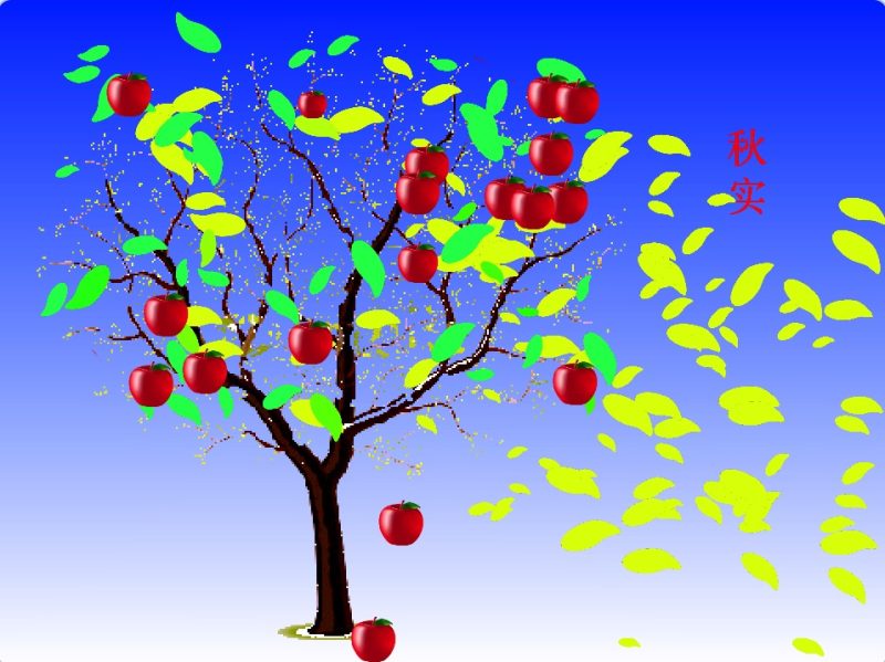 春夏秋冬-超平的编程课