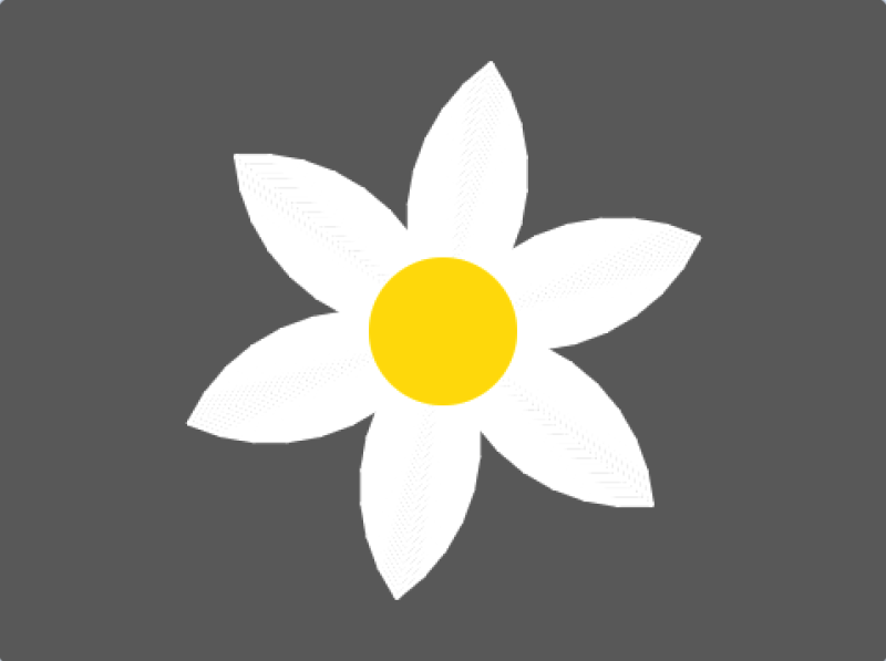 栀子花-超平的编程课