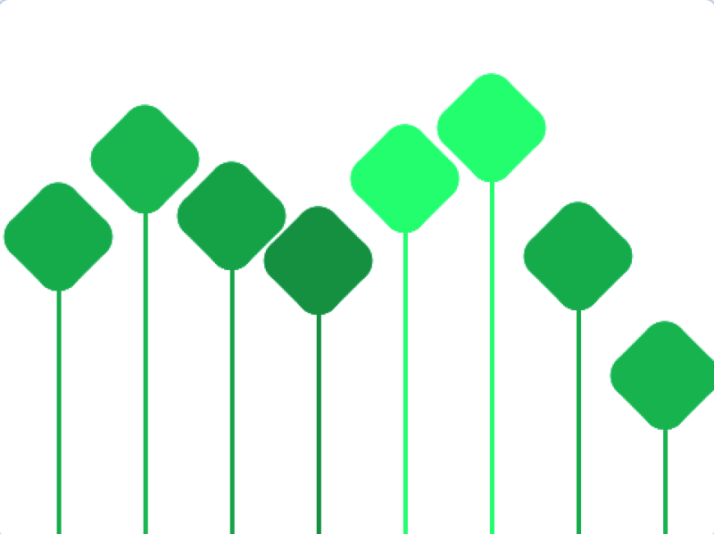 荷花池-超平的编程课