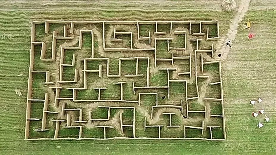 走迷宫-Scratch迷宫游戏