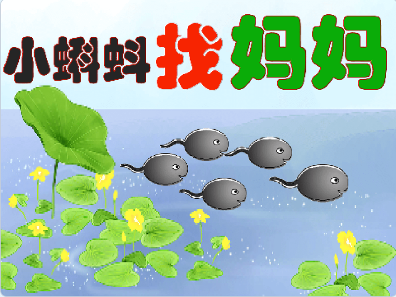 小蝌蚪找妈妈-超平的编程课