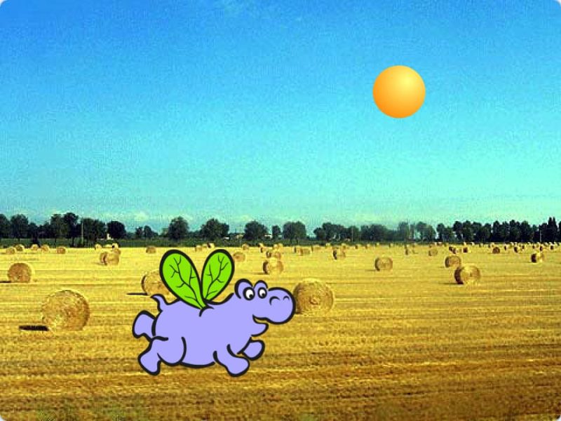 河马捡球-超平的编程课