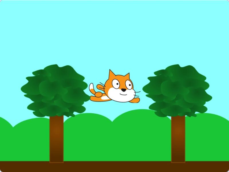 飞翔的小猫-超平的编程课