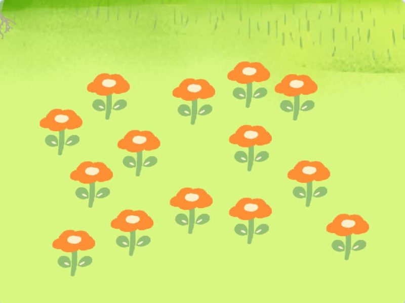 栽花-超平的编程课