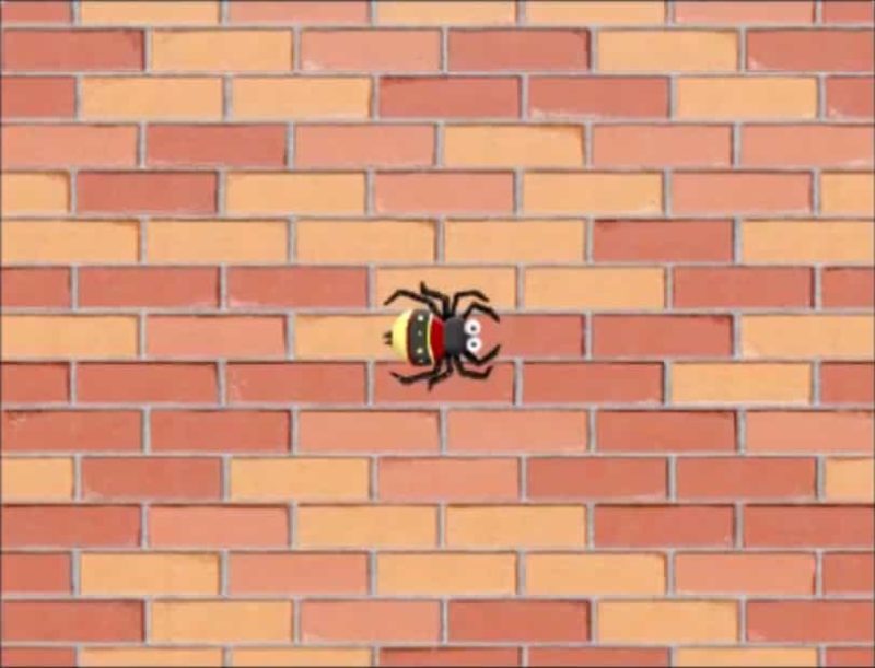 吐丝的蜘蛛-超平的编程课