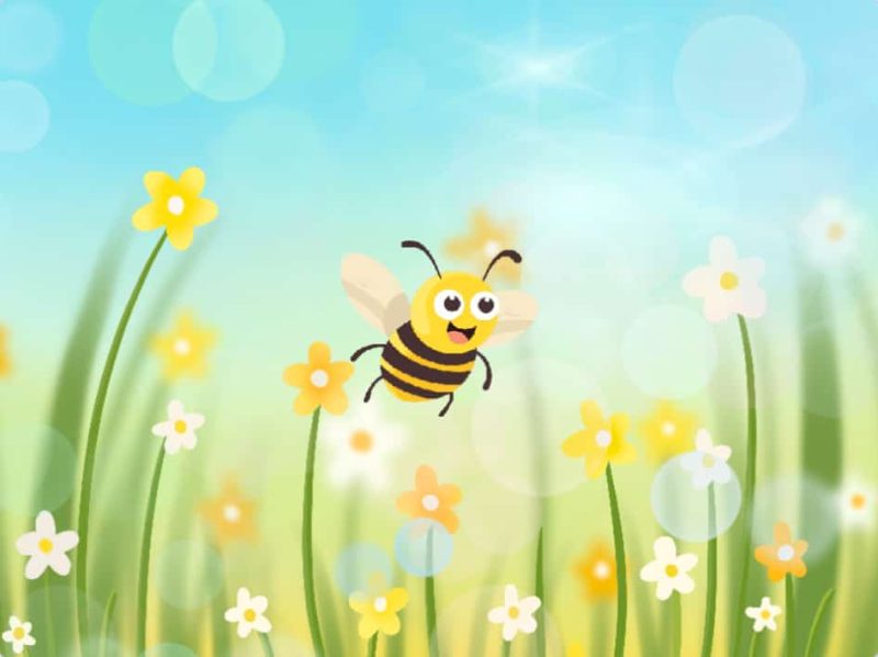 抓不住的蜜蜂-超平的编程课