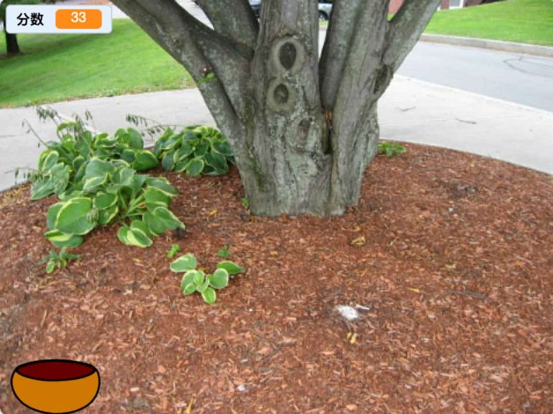 碗接苹果-超平的编程课